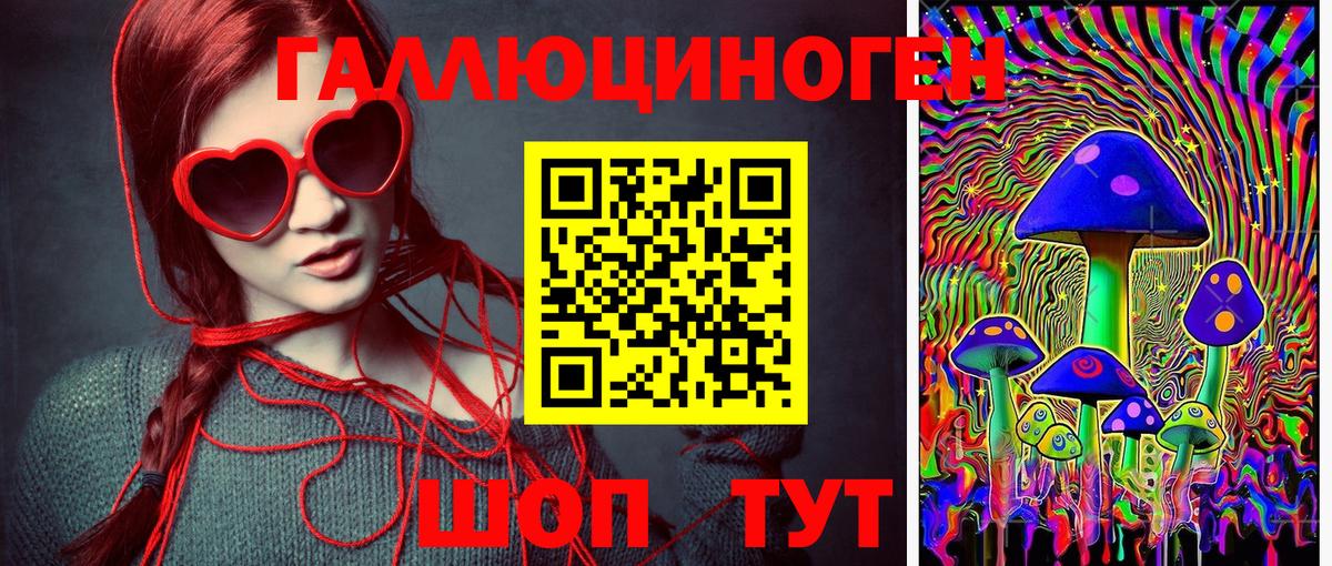 Галлюциногенные грибы мухоморы Советская Гавань