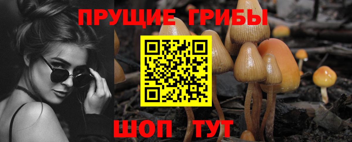 продажа наркотиков  Псилоцибиновые грибы мицелий  Вход с VPN  Советская Гавань 
